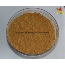 Natural 6: 1 Chuanxiong Rhizoma Extract